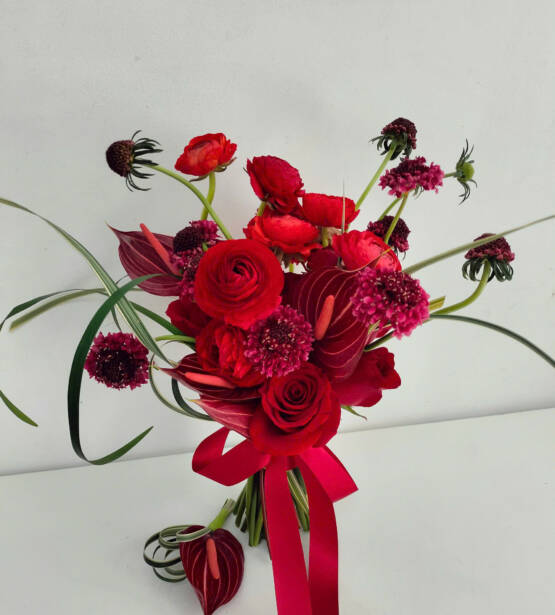 Những Trái Tim Không Ngại Yêu